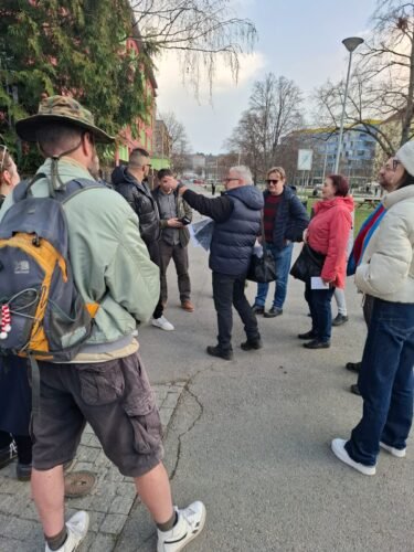 inbound4771257679530466817